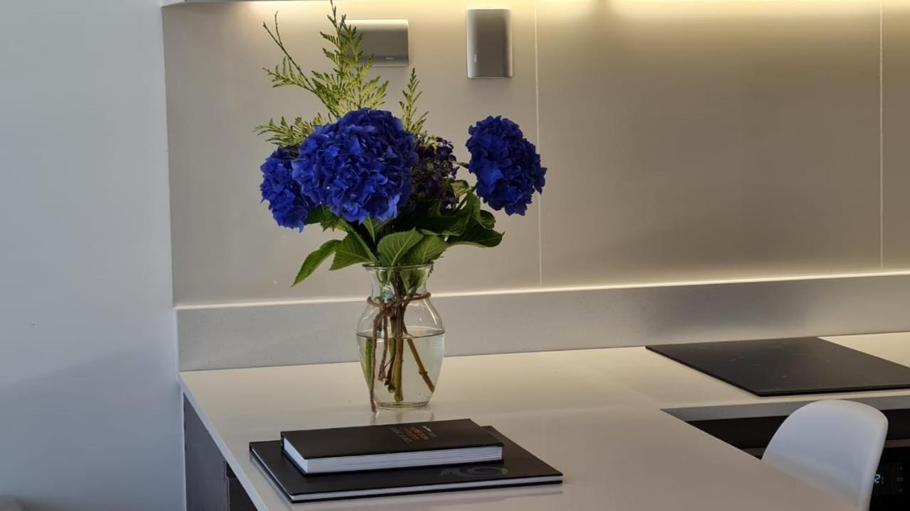 Curitiba Vip Studio 21 テムコ エクステリア 写真